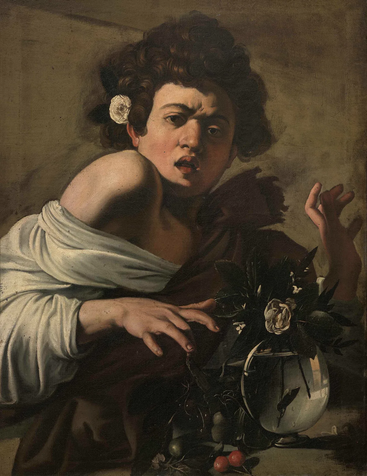 Boy Bitten by a Lizard